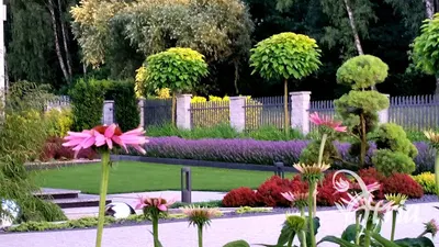 Atria - kompleksowe urządzanie terenów zieleni i pielęgnacja ogrodów